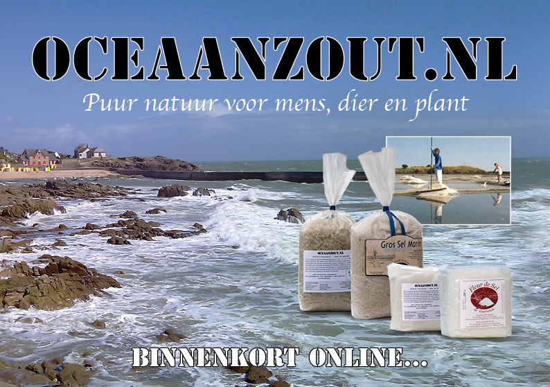 oceaanzout.nl